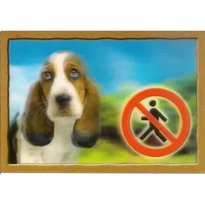 Znak 3D PSI, Basset Hound