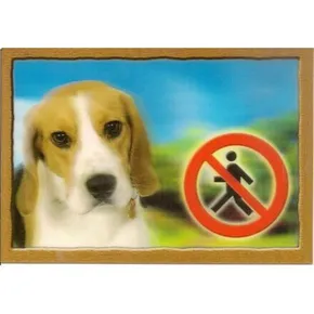 Nieśmiertelnik 3D, Beagle