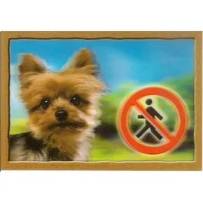 Nieśmiertelnik 3D, Yorkshire Terrier