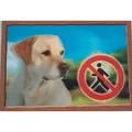 Następne zdjęcie produktu Tag 3D PSI, Labrador Retriever (beżowy)