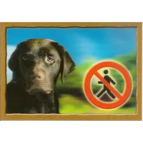 Tag 3D PSI, Labrador Retriever (brązowy)
