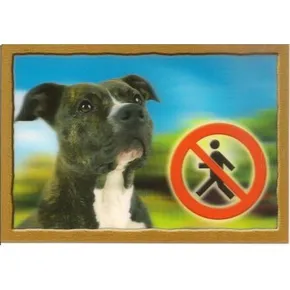 Znacznik 3D PSI, Staffordshire Terrier