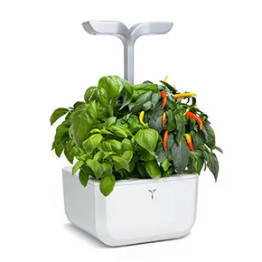 Inteligentny doniczka Exky Smart, biały, z wkładem 2 szt., Véritable