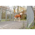 Następne zdjęcie produktu CityStyle pláštěnka DUBLIN, rezaváXS: 25cm, hruď: 42-62cm, krk: 32cm