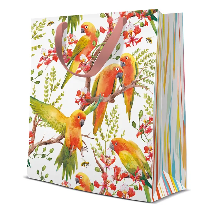 Główne zdjęcie produktu Dárková taška střední - Exotic Birds 20x10x25 cm