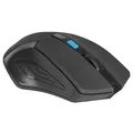 Następne zdjęcie produktu Defender Mysz Accura MM-275, 1600DPI, 2.4 [GHz], optyczna, 6kl., bezprzewodowa, czarna, 1 szt AA