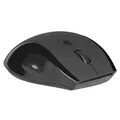 Defender Mysz Accura MM-295, 1600DPI, 2.4 [GHz], optyczna, 6kl., bezprzewodowa, czarna, 1 szt AA, nano odbiornik
