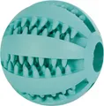 DENTAfun piłka z miętą 5 cm TRIXIE