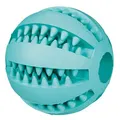 Następne zdjęcie produktu DENTAfun piłka z miętą 5 cm TRIXIE
