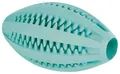 DENTAfun piłka do RUGBY z miętą 11cm TRIXIE
