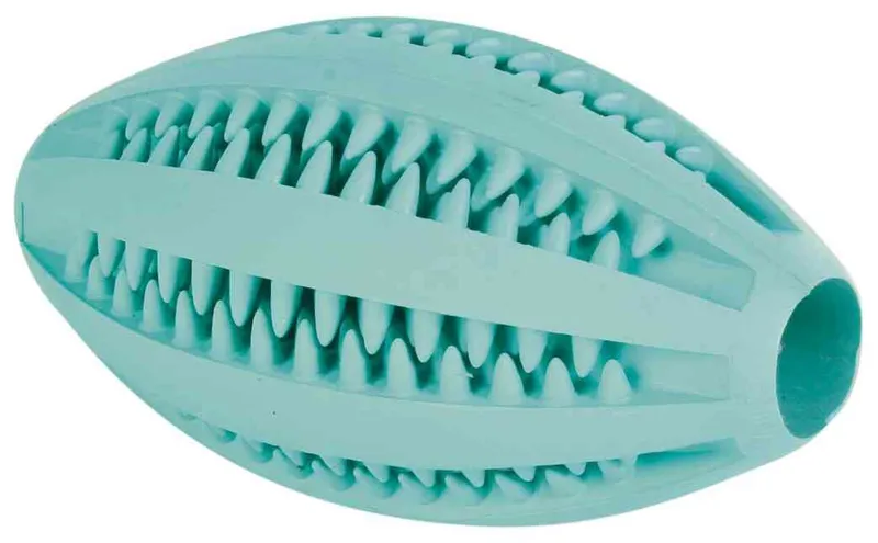 Główne zdjęcie produktu DENTAfun RUGBY míč s mátou 11cm TRIXIE