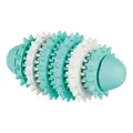 Butla DENTAfun RUGBY 15cm TRIXIE