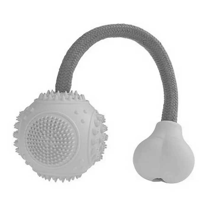 Główne zdjęcie produktu Dentální mátový míček s růžovým lanem 6cm/25cm HipHop
