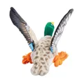 Następne zdjęcie produktu Wild duck on a rope, 26 cm, robust toy for dogs, HIPHOP DOG