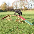 Mostek treningowy dla psów AGILITY 456x64x30 cm