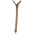 Drewniana grzęda Y z metalowym uchwytem na klatkę 35cm/18mm