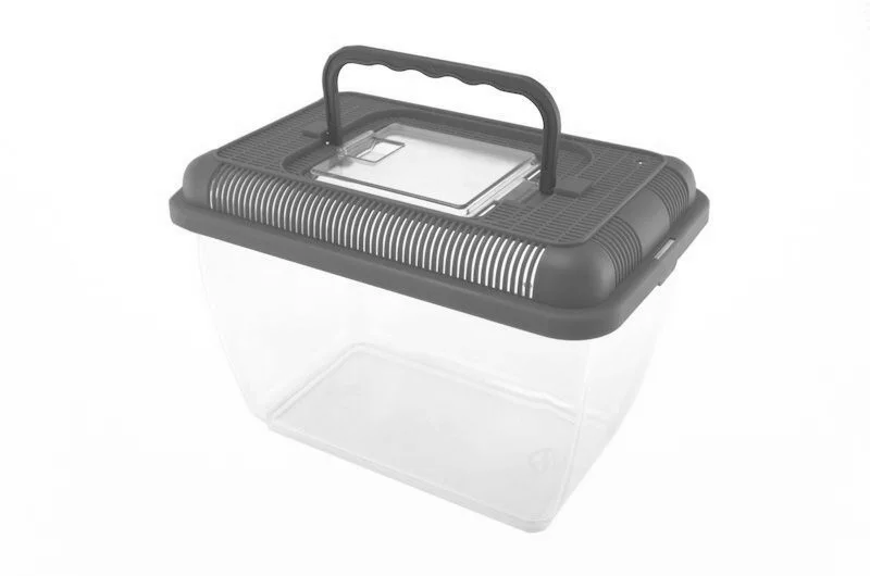 Główne zdjęcie produktu Fauna box AQUAZOO II. 24x16x17cm 3,5 L