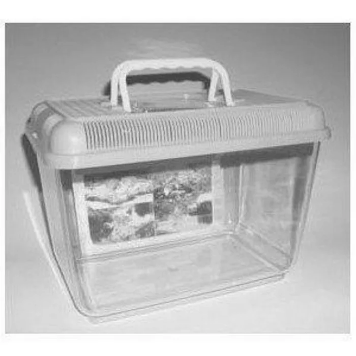 Główne zdjęcie produktu Fauna box AQUAZOO III. 31x21x21cm 7,5L