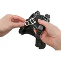 Następne zdjęcie produktu FlexMesh Premium postroj, szeroki krój, sangriaXS-S: 40-57 cm/ 15 mm
