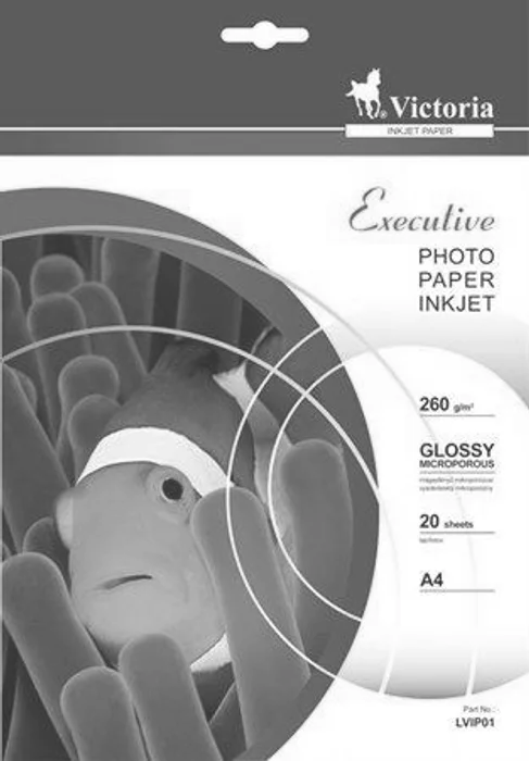 Główne zdjęcie produktu Foto papír "Executive", do inkoustové tiskárny, vysoce lesklý, A4, 260g, VICTORIA 20 listů