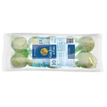 GARDEN FUN opakowanie kulek łojowych dla ptaków á 90g (10 szt. w opakowaniu)
