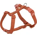 Uprząż H PREMIUM, zardzewiała M-L:klatka piersiowa:52-75cm/20mm