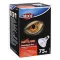 Następne zdjęcie produktu HeatSpot Pro, Halogenowa lampa punktowa o mocy 75 W