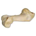Następne zdjęcie produktu Kość wołowa biała - ekstrudowana 1 szt./36 cm