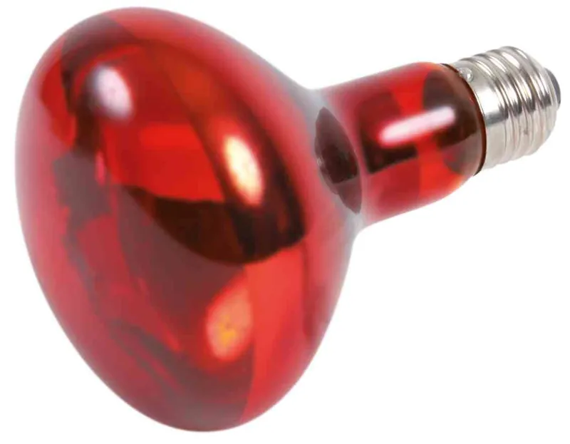 Główne zdjęcie produktu Infrared Heat Spot-Lamp red 100 W