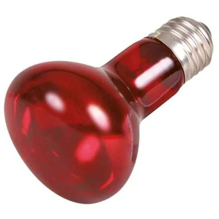 Główne zdjęcie produktu Infrared Heat Spot-Lamp red 35 W