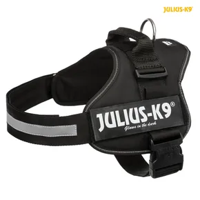 Uprząż zasilająca Julius-K9 2/L-XL 71-96 cm/50 mm, - kolor czarny