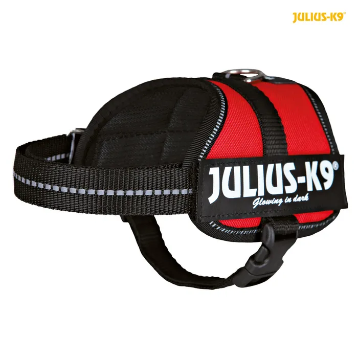 Główne zdjęcie produktu Julius-K9 silový postroj Baby 2/XS-S 33-45 cm, - červená