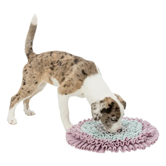 Główne zdjęcie produktu JUNIOR Dog Activity čichací koberec 38 cm