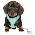 Następne zdjęcie produktu Szelki JUNIOR SOFT ze smyczą dla szczeniąt, miętowe S-M: 26-34 cm/10 mm, 2,00 m