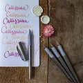 Kaligrafické plnicí pero Schneider Callissima anthracite