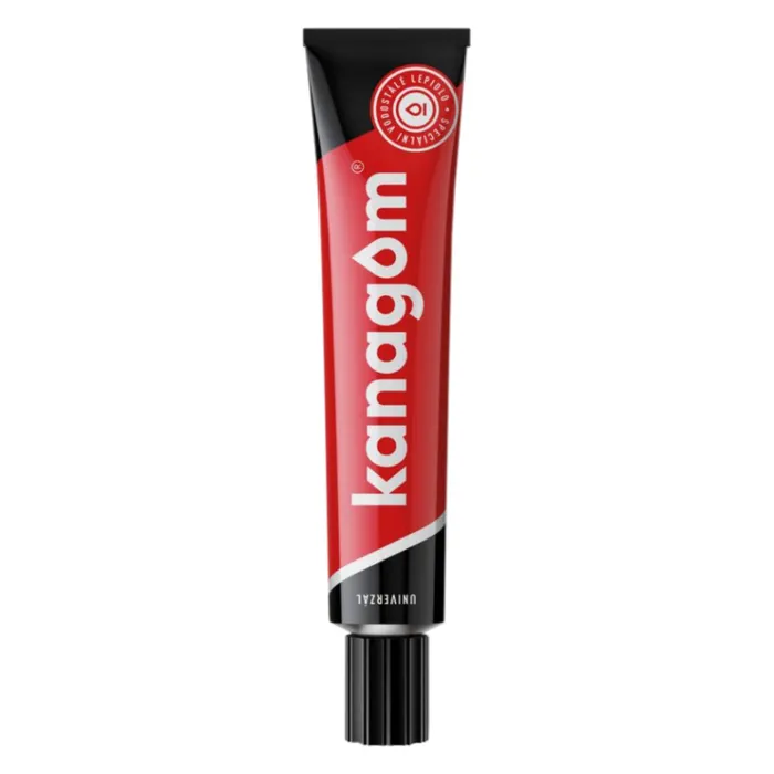 Główne zdjęcie produktu Kanagom Klasika 40g