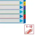 Tekturowe indeksy Esselte Mylar z przednią kartką wielokrotnego zapisu, A4 Maxi, Mieszane kolory