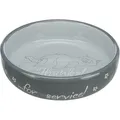 Niska miska ceramiczna dla kotów z krótkim pyskiem 0,3 l/o 15 cm różne kolory