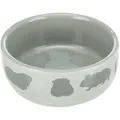 Następne zdjęcie produktu Ceramiczna miska dla świnek morskich, kolorowa 250 ml/11 cm