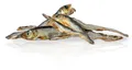 Następne zdjęcie produktu KIDCAT SUPER PREMIUM 100%  dried real SEA SPRAT - mini suszony szprot morski, 6 cm / 40 g