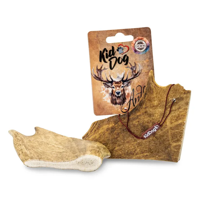 Główne zdjęcie produktu KIDDOG Antler, dančí paroh - L