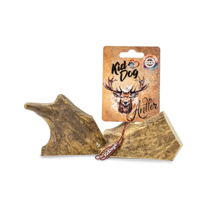 Główne zdjęcie produktu KIDDOG Antler, dančí paroh - M