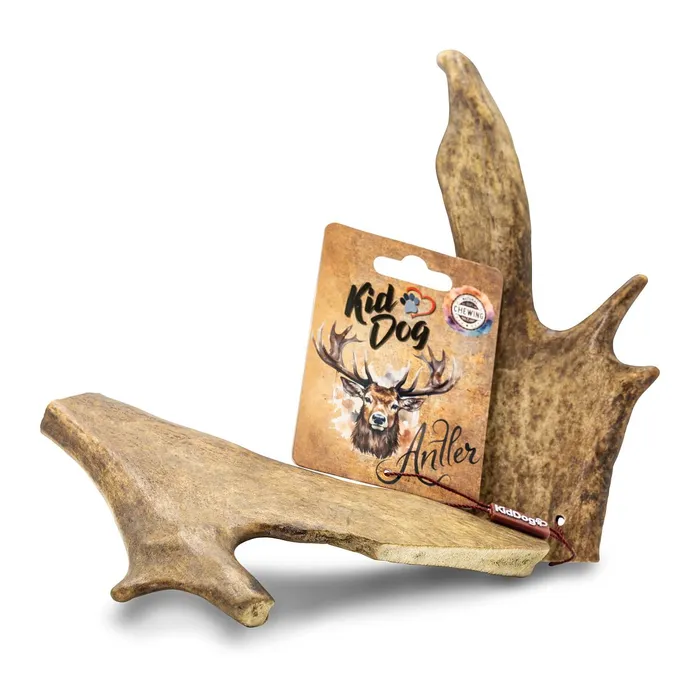 Główne zdjęcie produktu KIDDOG Antler, dančí paroh - XL