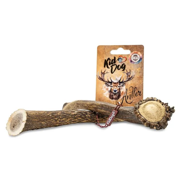 Główne zdjęcie produktu KIDDOG Antler, jelení paroh celý - L