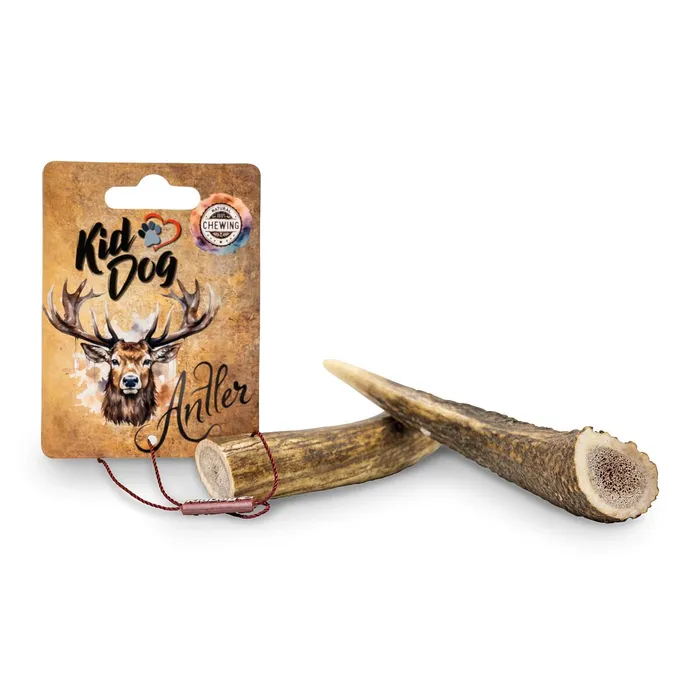 Główne zdjęcie produktu KIDDOG Antler, jelení paroh celý - M