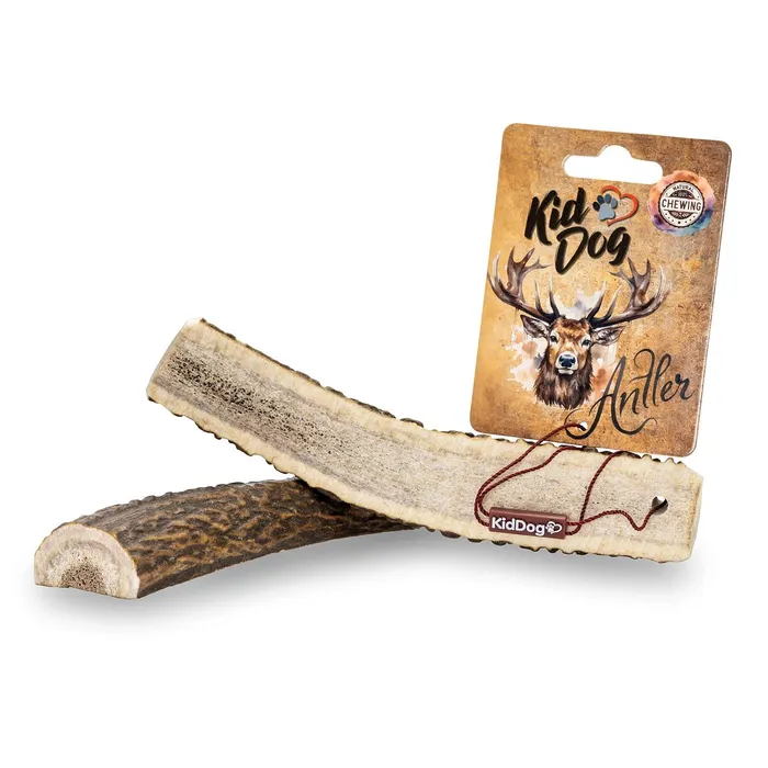 Główne zdjęcie produktu KIDDOG Antler, jelení paroh půlený - L