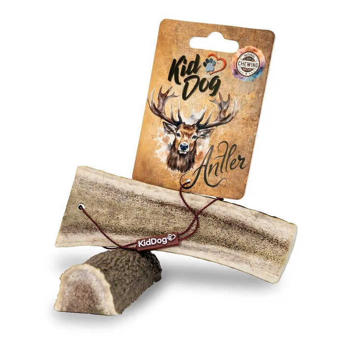 Główne zdjęcie produktu KIDDOG Antler, jelení paroh půlený - M