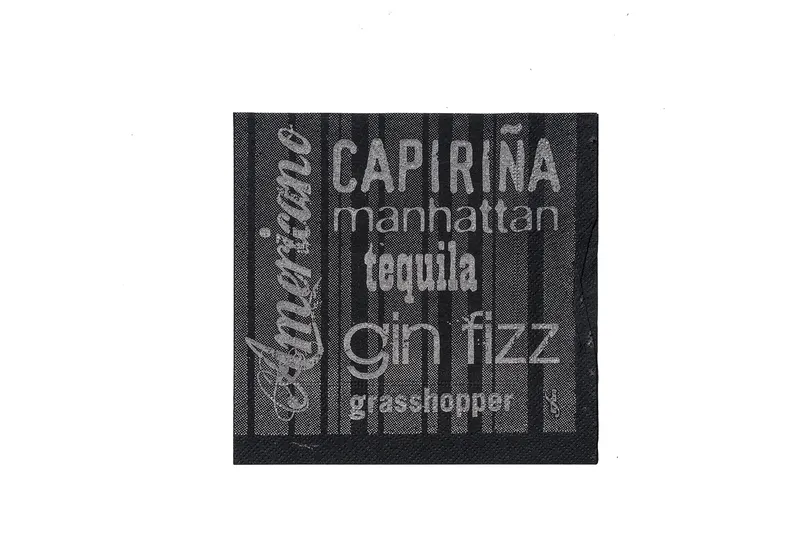 Główne zdjęcie produktu Koktejlové ubrousky Infibra Drink 2vrstvé 25 × 25 cm černé s bílým potiskem [100 ks]