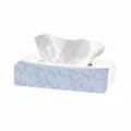 Następne zdjęcie produktu Chusteczki kosmetyczne (PAP FSC Mix) 2-w pudełku dozującym [100 szt]
