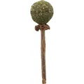 Lizak do żucia MATATABI 11 cm produkt naturalny